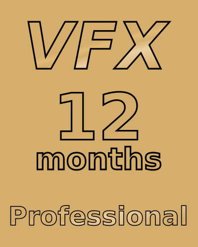 Professional 12 Months